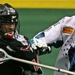 Wings Knighthawks