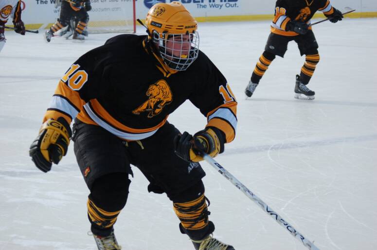February, 9 2008 EvelethGilbert Golden Bears vs. Lake of the Woods Bears