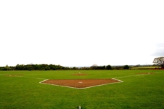 Tiger Field