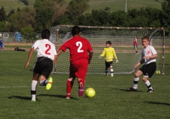 Dsc02176_small
