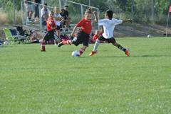 Dsc_0719_small