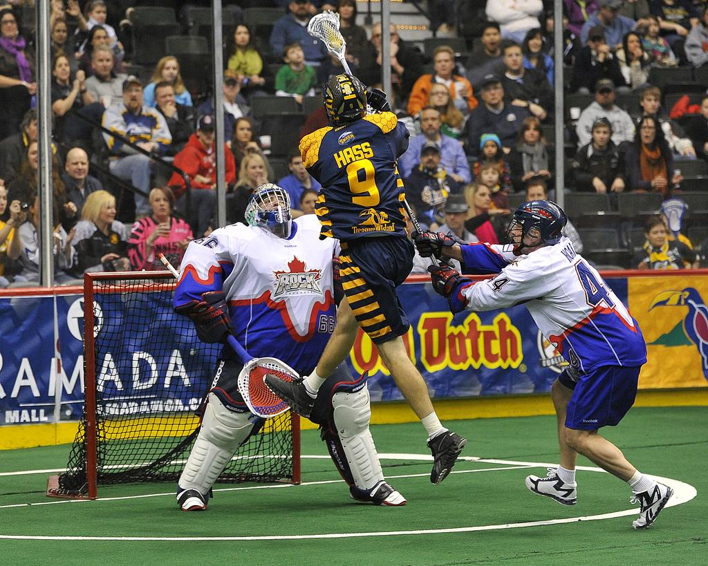 Swarm_win_large_large