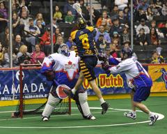 Swarm_win_large_small