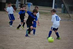 Dsc_0364_1024x681_small