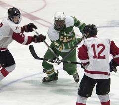 Anthony Walsh, Edina Hornets, 26ers 94/U18 Team