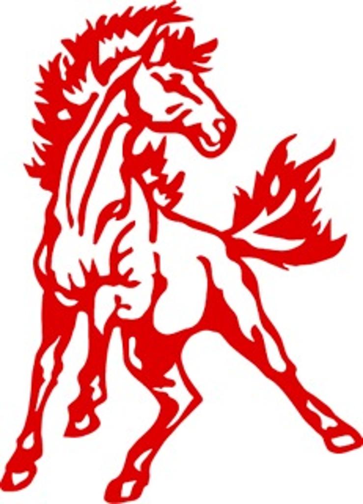 Groveport Cruisers 13u 2015