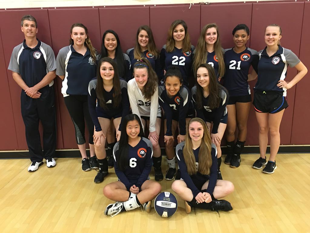 High School Travel Volleyball Teams