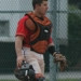 Dback_catcher_small