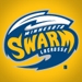 Swarmphoto_small