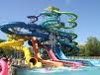 Sponsored by Wild Water Kingdom