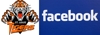Sponsored by ST. LOUIS TIGERS ON FACEBOOK