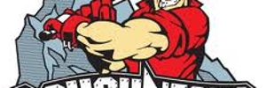 Away Team Logo