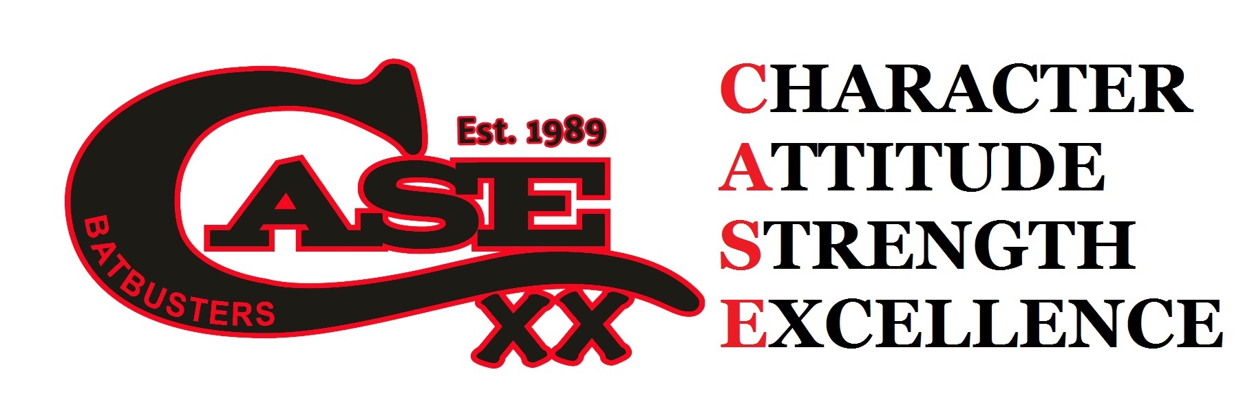 Case Batbusters Fastpitch Softball