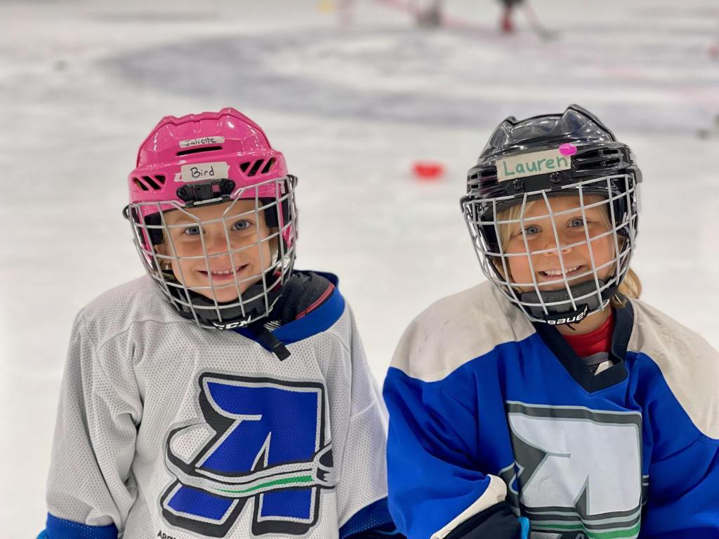 Appleton Area Hockey Association