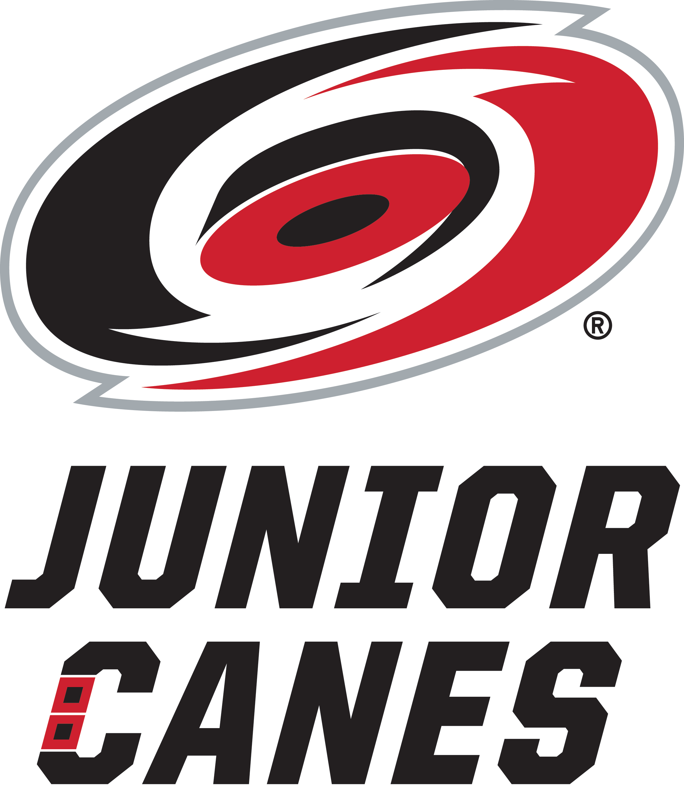 Junior Canes Brand Guide