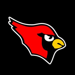 Mentor Football Teams