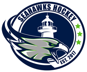 seahawks hockey jersey