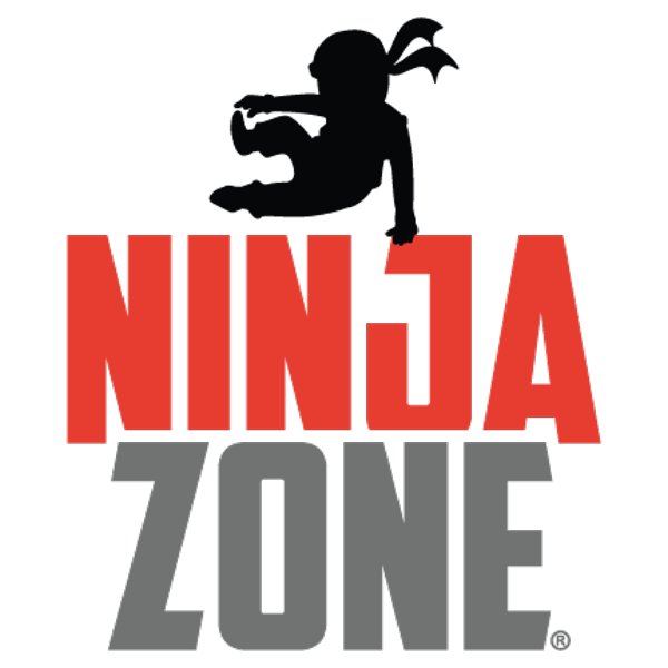 What is Ninja Zone?