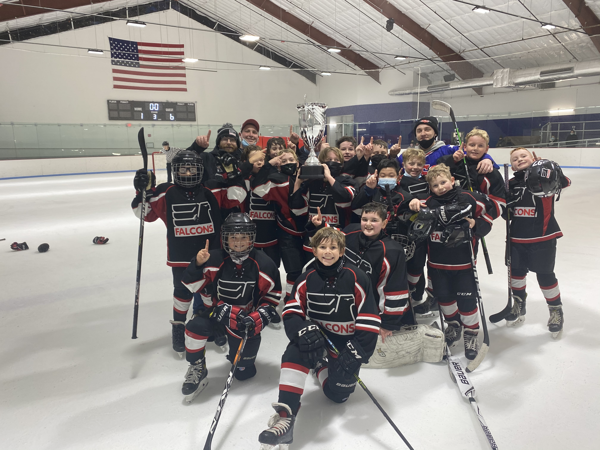 detroit falcons hockey jersey