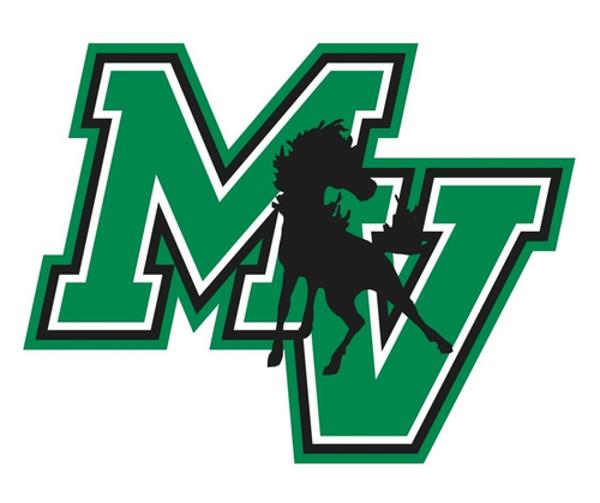 SAYB Day at the Mounds View High School Baseball Game