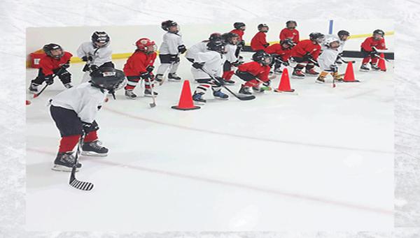 mini mites