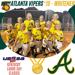 Atlanta Vipers Fastpitch Whitener - USSSA Kentucky Labor Day Classic - 2nd Place - August 2024