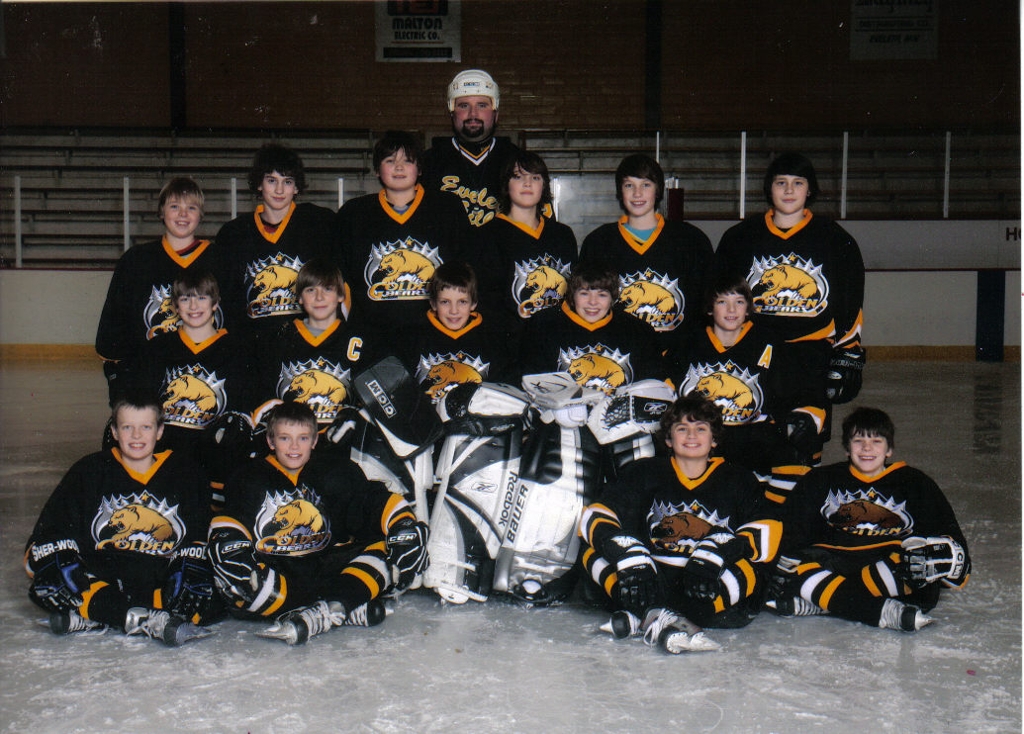 20082009 Hockey teams