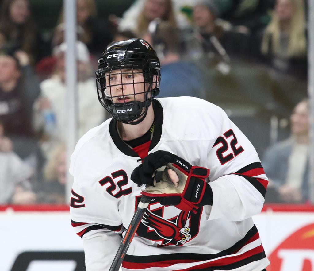 Eight MN natives taken in '20 NHL Draft