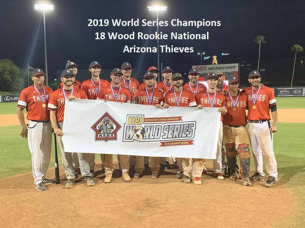 2019 world champions baseball