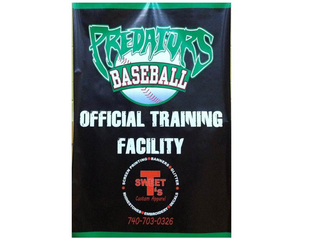 Central Ohio Predators 12U