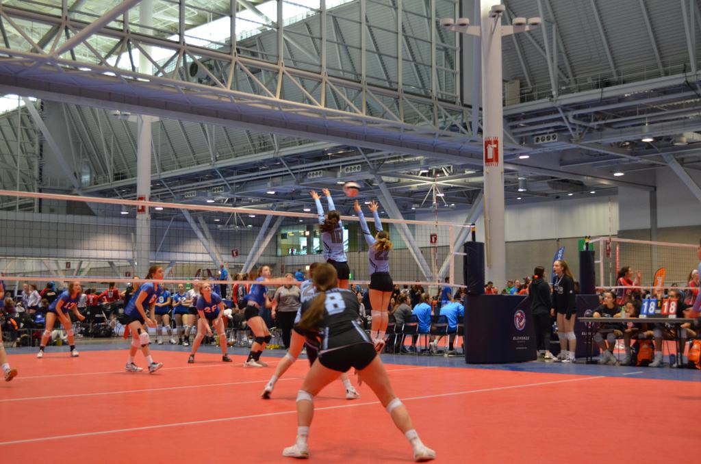 New York Elite Volleyball