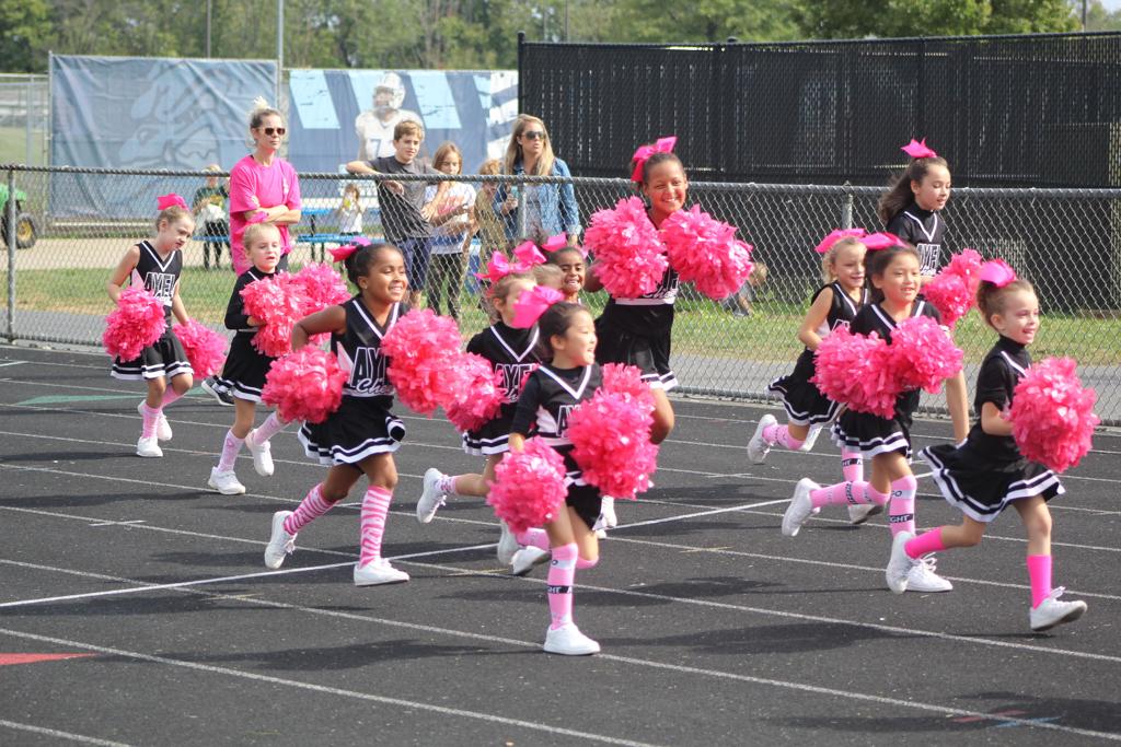 Welcome | 2026 Fall AYFL Cheerleading | Ashburn Youth Football