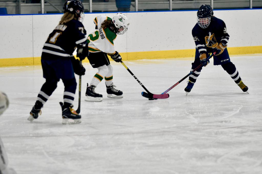 Photos Mounds View Irondale Youth Hockey Association