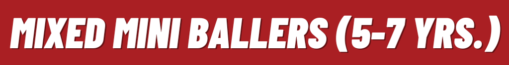 Mixed Youth Mini Ballers Program