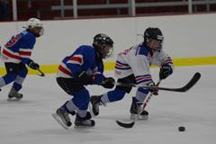 Birmingham Youth Hockey