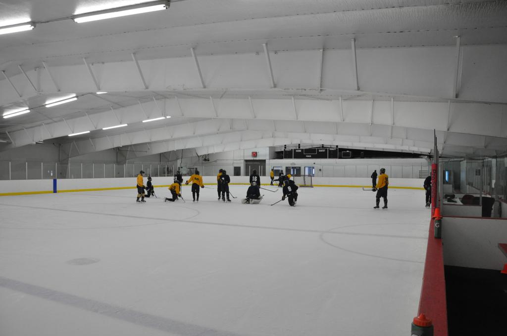 Lily Lake Arena
