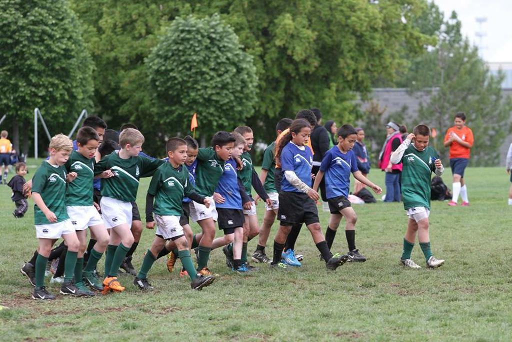 Little Rugby 7's