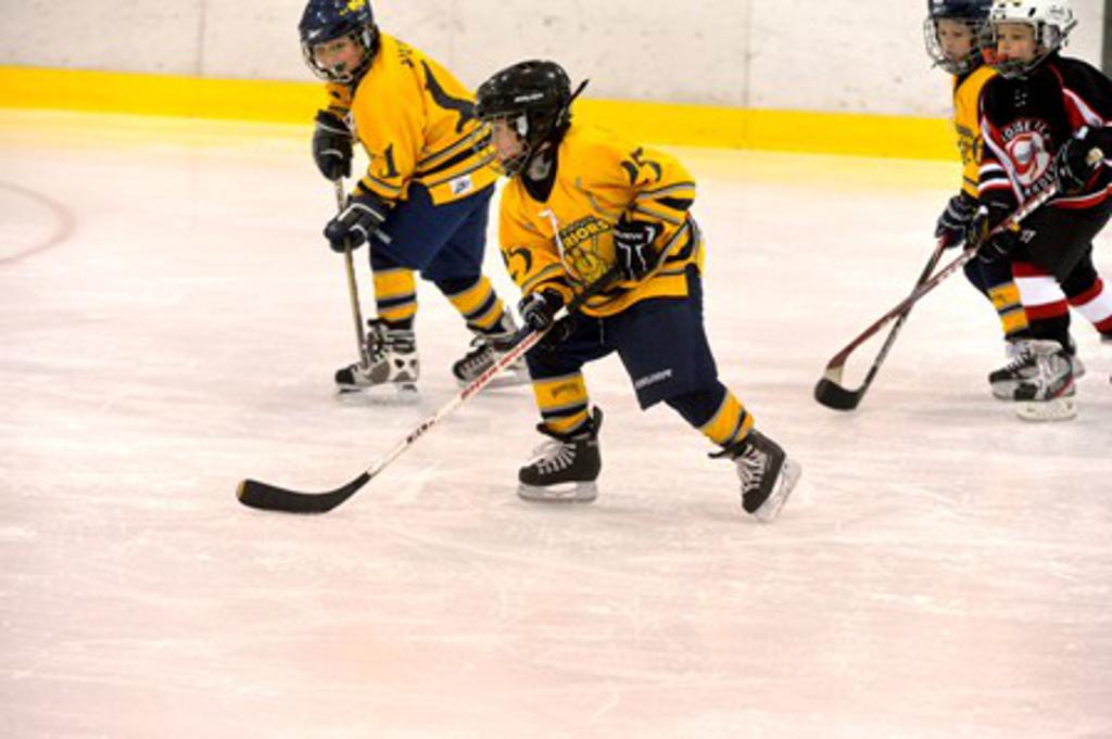 Association Photos Photos Wyandotte Warriors Hockey Association