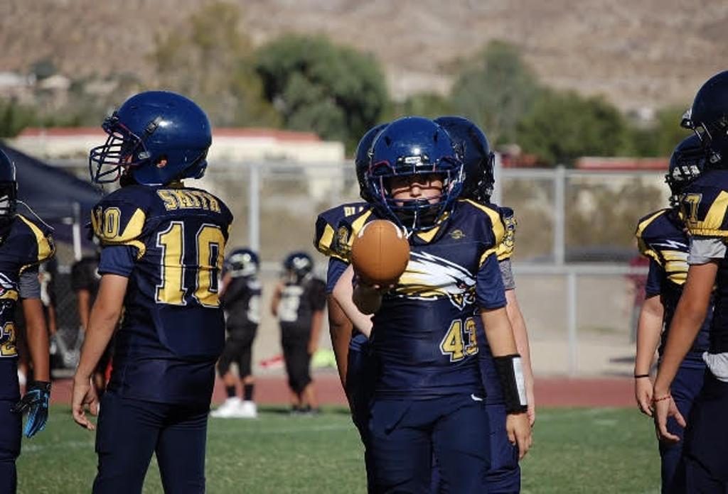 DHS Eagles Youth Football & Cheerleading