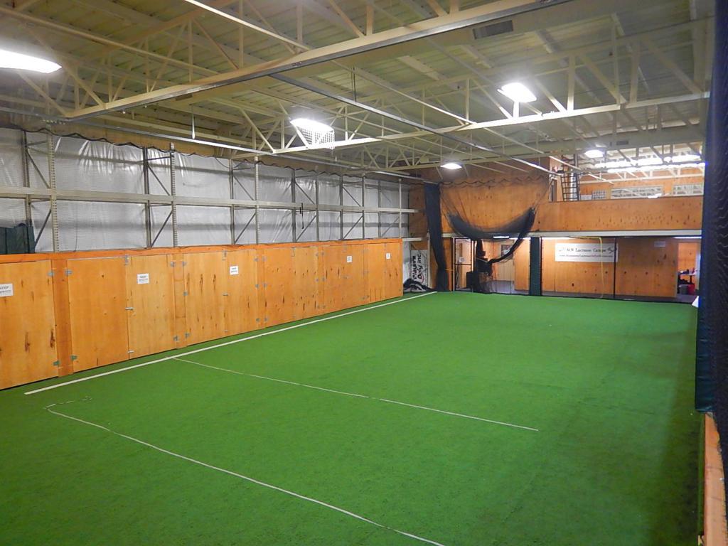 Astroturf Field Area