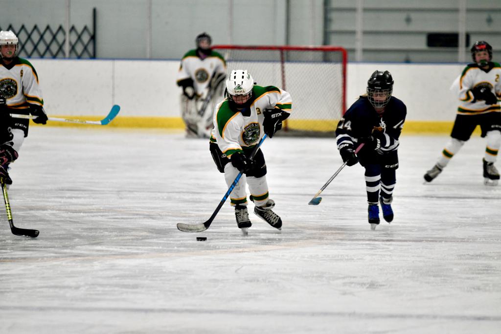  Photos Mounds View Irondale Youth Hockey Association