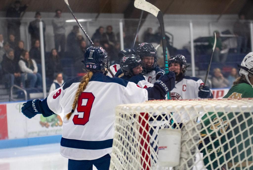 Albert Lea girls high school hockey celebration