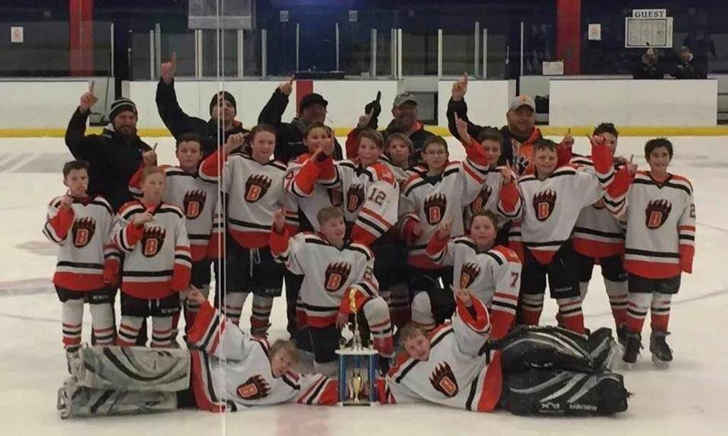 White Bear Lake Area Hockey Association