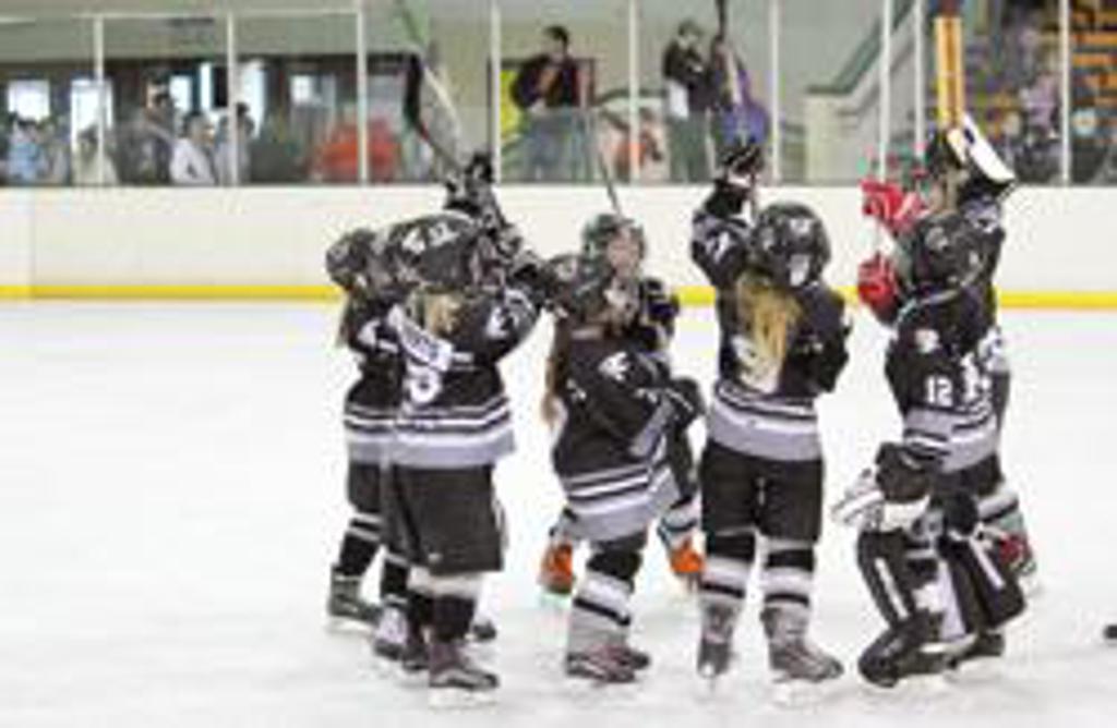 Mite Hockey 6u & 8u