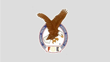 Image of Eagles #34 logo