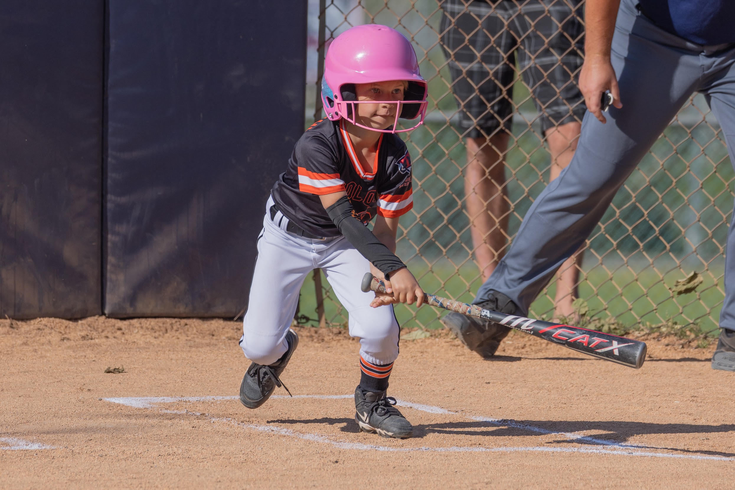 Tecolote Youth Baseball gallery image 12