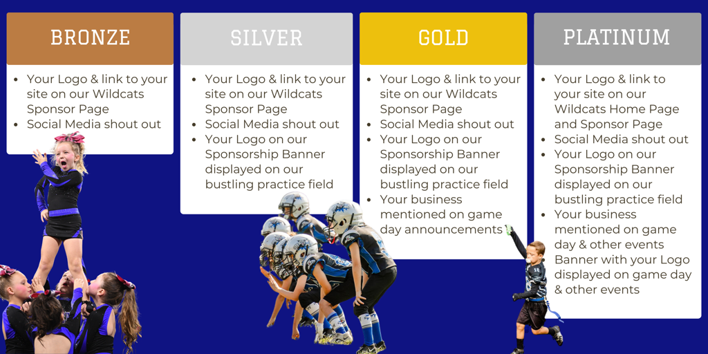 Londonderry Wildcats Youth Tackle Football Cheer and Flag Football Program of Londonderry New Hampshire