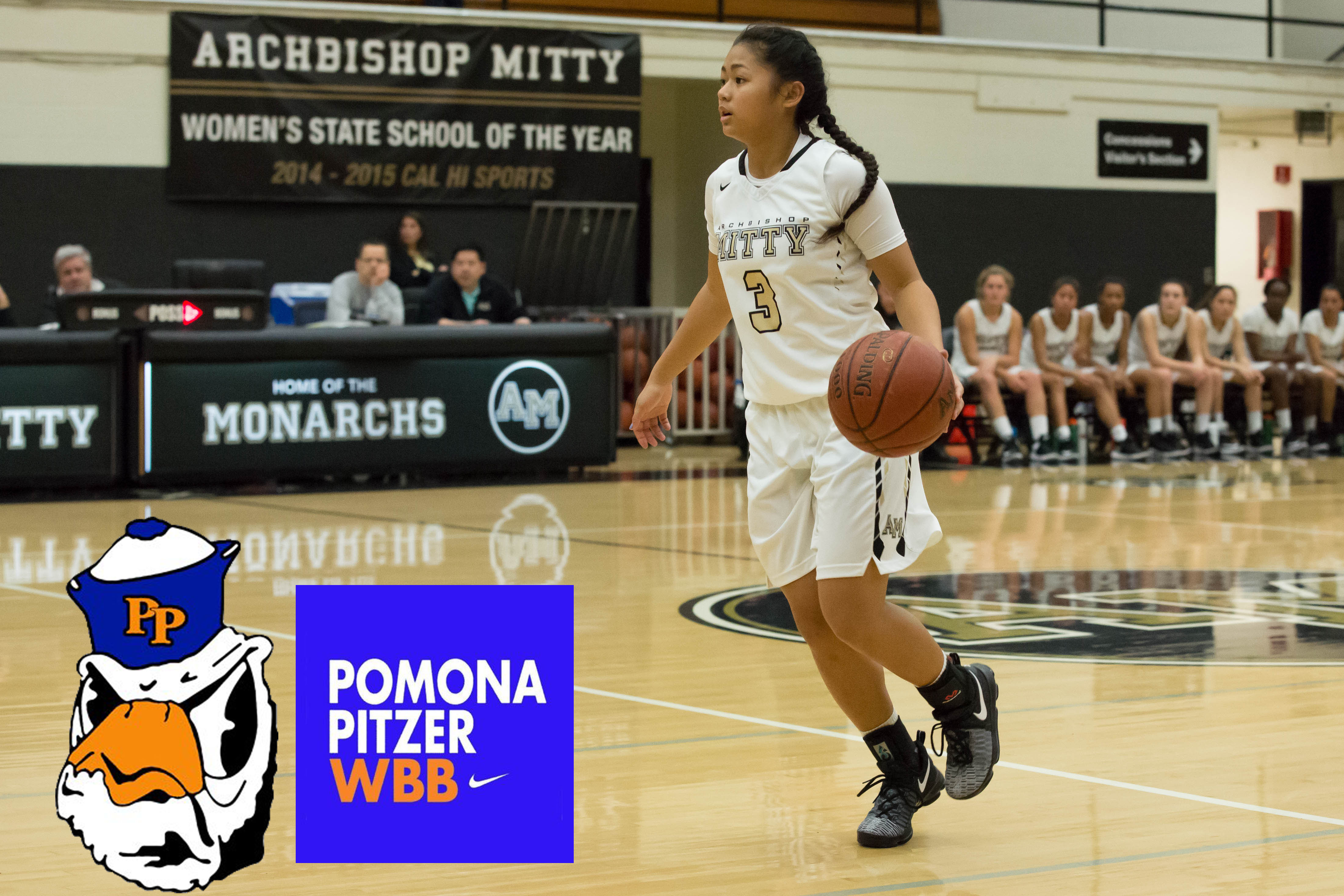 Shark City Hoops Alumni