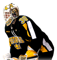 gemini hockey jerseys